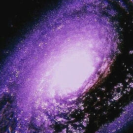 Break away from the pack of mindless dogs / And bite the hand that bleeds you